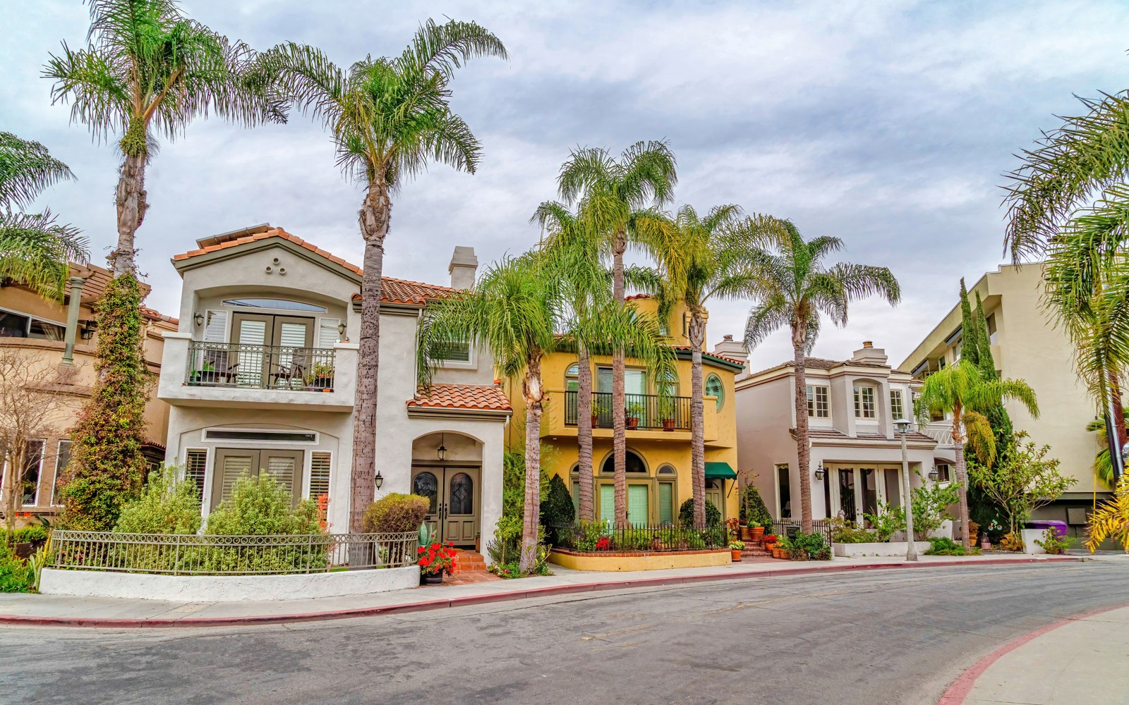 Palm-lined residential street in Riverside County, California